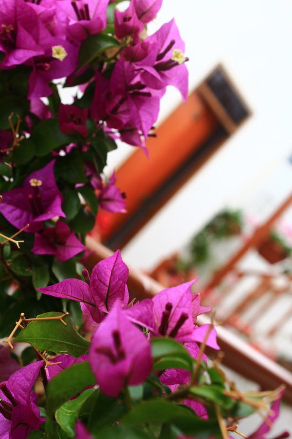 Amaru Hotel Huaraz Eksteriør bilde
